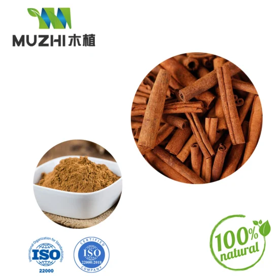 Spray Drying Cinnamon Powder Natural Herbal Plant Extract