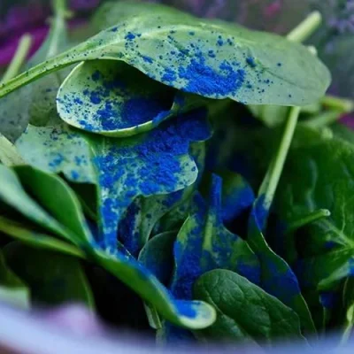 Natural Blue Pigment Spirulina Algae Phycocyanin CAS11016-15-2